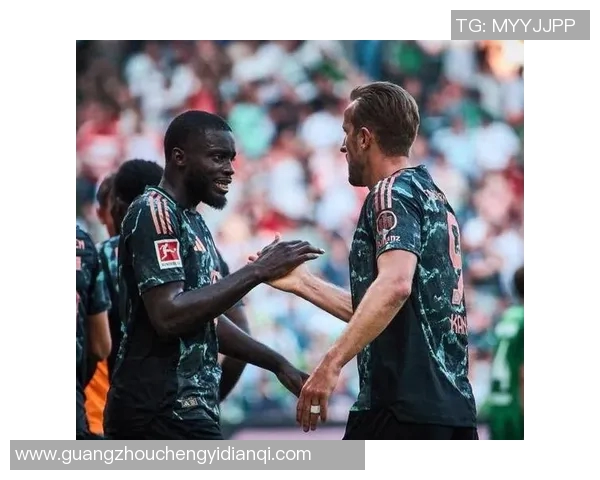 德甲精彩对决沃尔夫与奥格斯携手争夺胜利荣耀